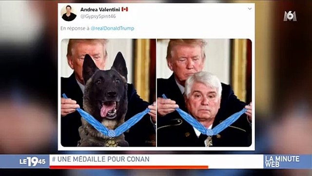 Un touriste britannique fait une drôle découverte dans les toilettes d'un hôtel lors d'un safari en Australie: Il se retrouve face à ... des kangourous !