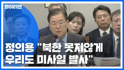 국회, 청와대 국감...정의용 "北 못지않게 우리도 미사일 발사" / YTN