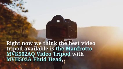 Michael William Paul Reviews - Video Tripods