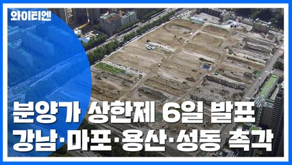 분양가 상한제 대상 지역 6일 발표...강남·'마용성' 촉각 / YTN