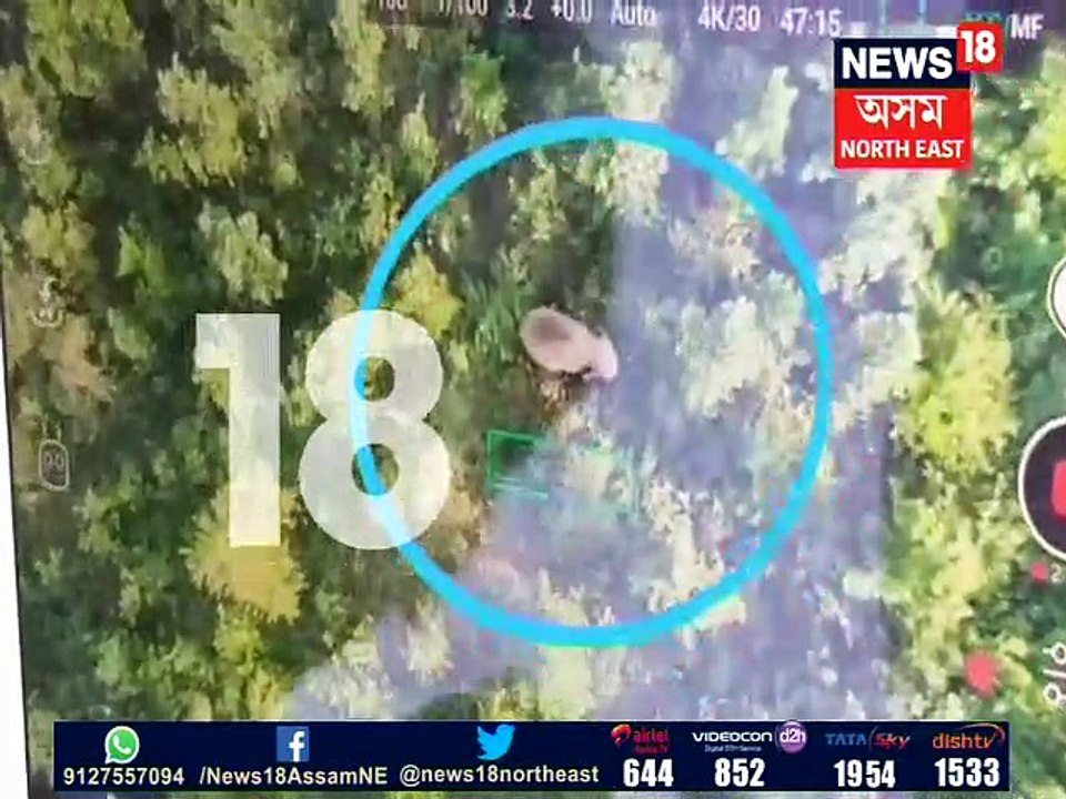 অৱশেষত সন্ধান ওলাল লাডেনৰ, বন বিভাগৰ দ্ৰোণ কেমেৰাই ধৰা পেলালে লাডেনক,Video