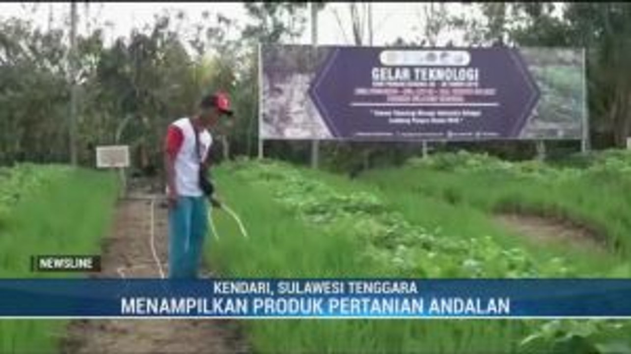 Produk Unggulan Pertanian Sultra akan Dipamerkan saat Hari Pangan Sedunia