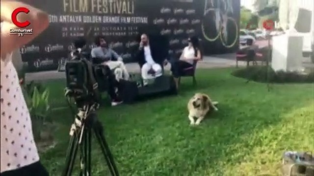 Altın Portakal'da canlı yayında davetsiz misafir