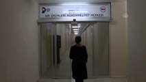 Türk kadın girişimci Anadolu propolisini 13 ülkeye taşıyor (1)