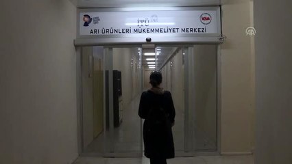 Türk kadın girişimci Anadolu propolisini 13 ülkeye taşıyor (1)