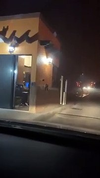 Incendie de Los Angeles : tous les arbres sont en feu !