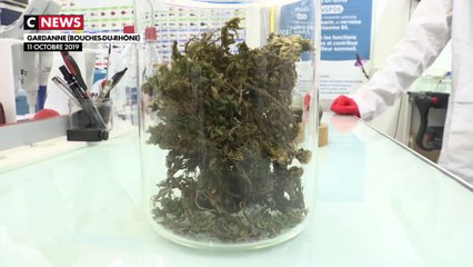 Biotechnologies : Deux start-up françaises qui utilisent ce qu'offre la nature