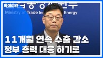 '11개월째 하락' 터널 갇힌 수출...3년 만의 '역성장' 우려 / YTN