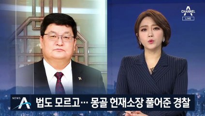 법도 모르고…여승무원 추행한 몽골 헌재소장 풀어준 경찰