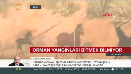 ABD'de orman yangınları