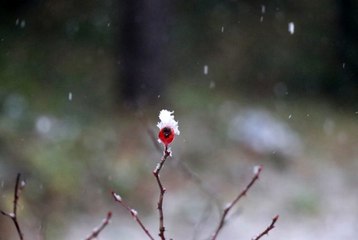 Bolu'ya mevsimin ilk karı düştü