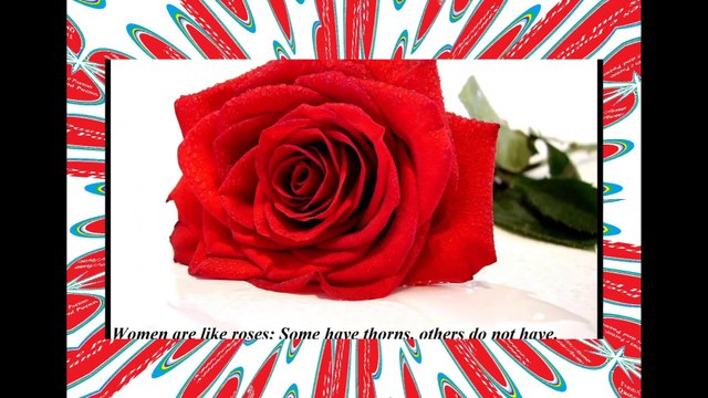 Women are like roses: Some have thorns, others do not have! [Quotes and Poems]
