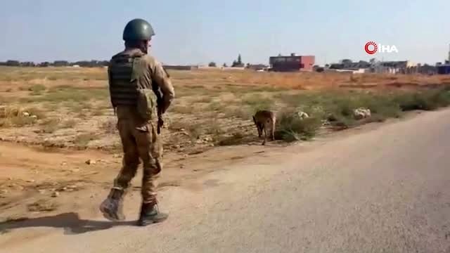 MSB: Tel Abyad'da Türkiye'ye yönlendirilmiş ve seri bağlanmış vaziyette 75 adet Roket tespit...