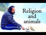 Various religions, and their view of animals || Acharya Prashant on veganism (2017)