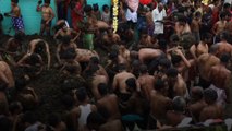 Faecal festival - cow dung fight brings villagers 'good health'