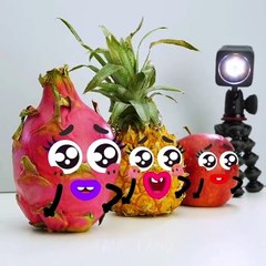 Tout est plus cool avec les trucs – TRUC-LAND