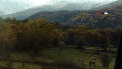 Posof'ta yüksek kesimler beyaza büründü