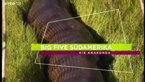 World's biggest snake found in Amazon river   Biggest python snake   Giant anaconda Largest snake ( 360 X 640 )