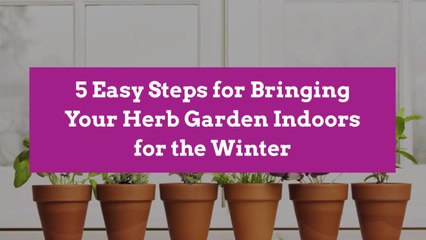 5 Easy Steps for Bringing Your Herb Garden Indoors for the Winter