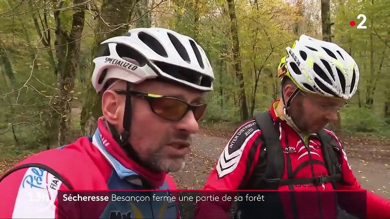 Sécheresse : 2 000 arbres doivent être abattus à Besançon