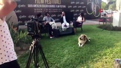 Canlı yayının davetsiz misafiri