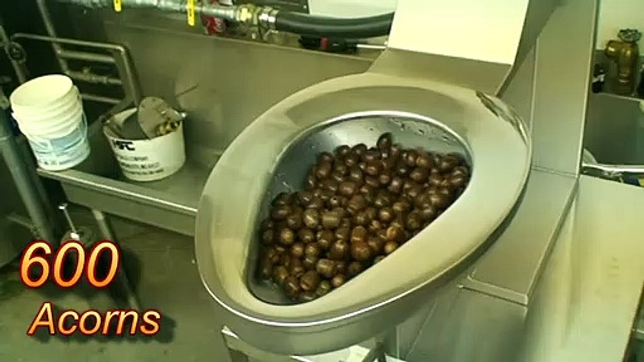 Les cuvettes de toilette des prisons US sont surpuissantes
