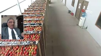 Azeri İş Adamı Arifoğlu: “Sanki Çocuğumu Elimden Almışlar Gibi Üzgün ve Çaresizim”