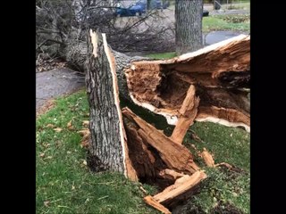 Le vent cause des dommages