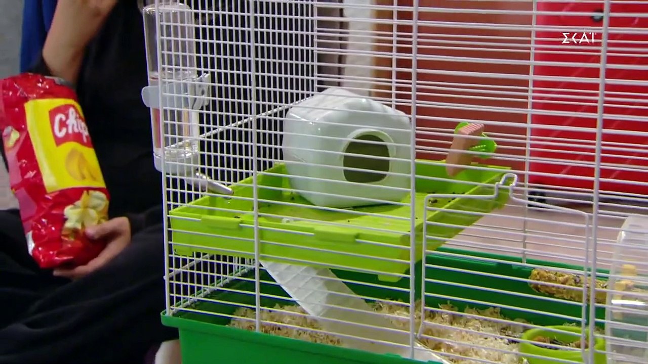 Θα γίνει της πολυκατοικίας - Επεισόδιο 07