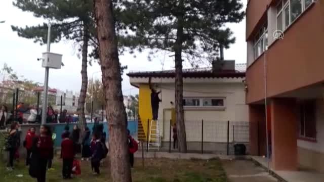 Ağaçta mahsur kalan kediyi itfaiye kurtardı - SİVAS