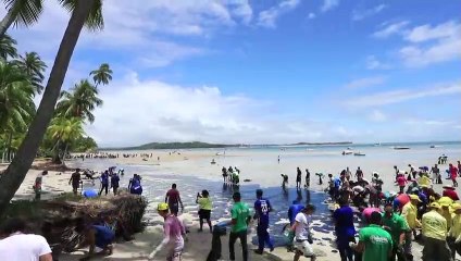 Petrolero con pabellón griego, "principal sospechoso" de marea negra en Brasil