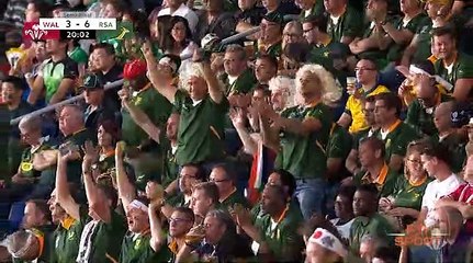 Rubgy |finale coupe du monde Angleterre - Afrique du Sud