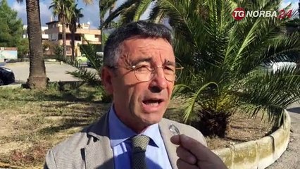 Barletta: olivi secchi, il degrado del verde del parco dell'umanita'