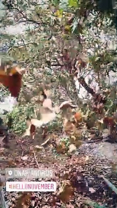 Μενεγάκη - Παντζόπουλος: Το πρώτο βίντεο μετά την καταστροφή στο ξενοδοχείο τους στην Άνδρο