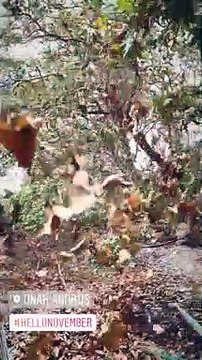 Μενεγάκη - Παντζόπουλος: Το πρώτο βίντεο μετά την καταστροφή στο ξενοδοχείο τους στην Άνδρο