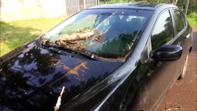 Carro tem danos após ser atingido por galhos de árvore na Região do Lago