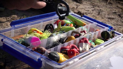 Fish Finder, Rosario , Una Búsqueda diferente