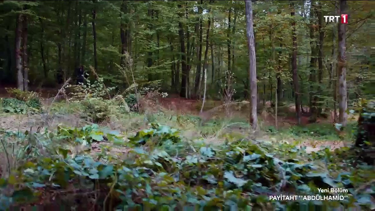 pah part 8