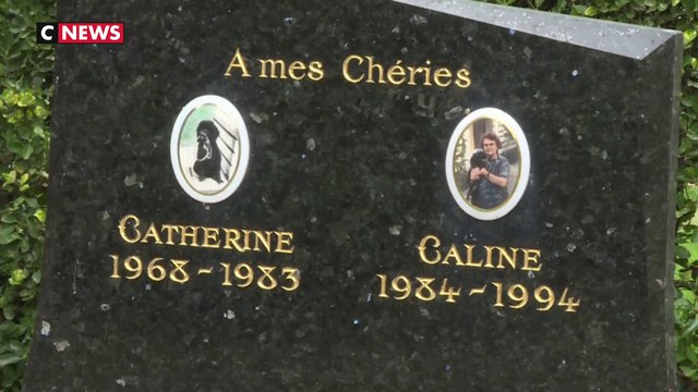 Un cimetière pour rendre hommage aux animaux