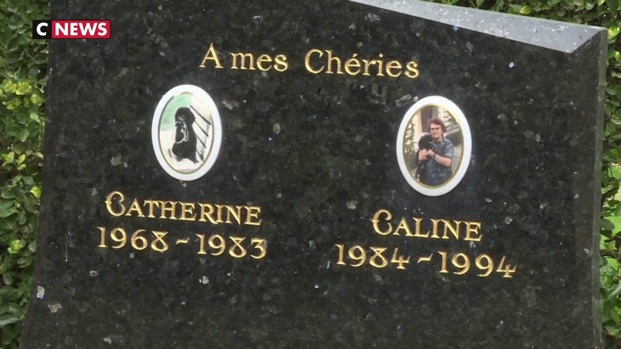 Un cimetière pour rendre hommage aux animaux