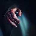 HALLOWEEN KILLS Movie (2020) - Behind The Scenes Teaser Trailer - Jamie Lee Curtis, Judy Greer, Nick Castle