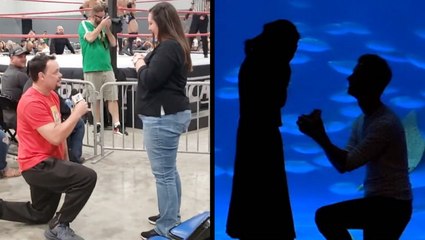 Sweet Proposals They Didn't See Coming