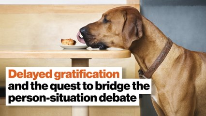 Delayed gratification and the quest to bridge the person-situation debate