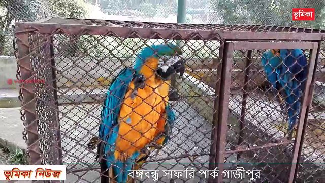 বঙ্গবন্ধু সাফারি পার্ক - Gazipur Bangabondhu Safari Park - Bangabandhu Sheikh Mujib Safari Park