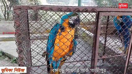 বঙ্গবন্ধু সাফারি পার্ক  Bongobondhu safari park Gazipur  Safari Park Gazipur