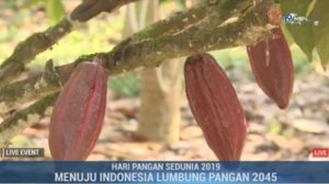 Menuju Indonesia Lumbung Pangan Dunia 2045 (3)