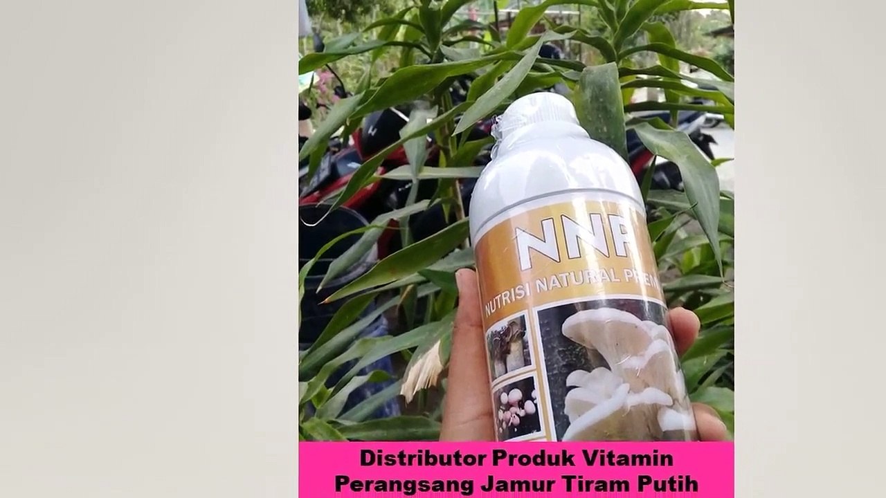 PILIHAN TERBAIK! TELP/SMS/WA 082299645450 (Tsel), Distributor Produk Vitamin Perangsang