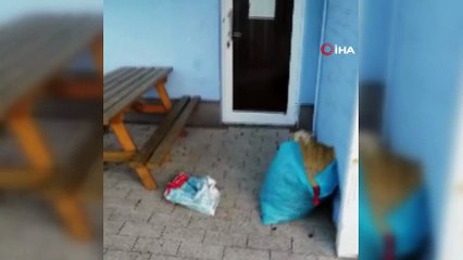 Köln’de camiye çirkin saldırı