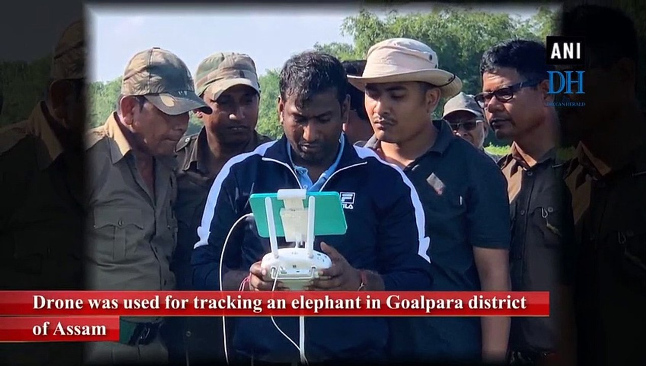 Eye in the sky: Drone successfully traces 'rogue' elephant in Assam