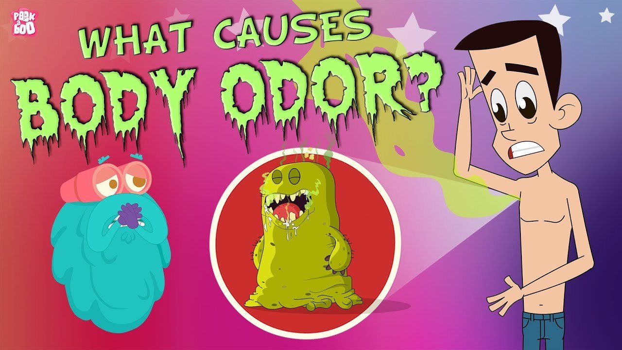 What Causes Body Odor? | The Dr. Binocs Show | Best Learning Videos For Kids | Peekaboo Kidz